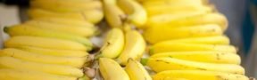 Banana exportación
