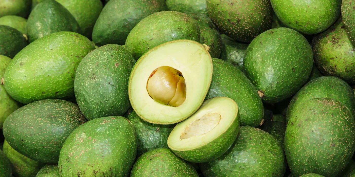Exportaciones de aguacate colombiano caen al 18 %