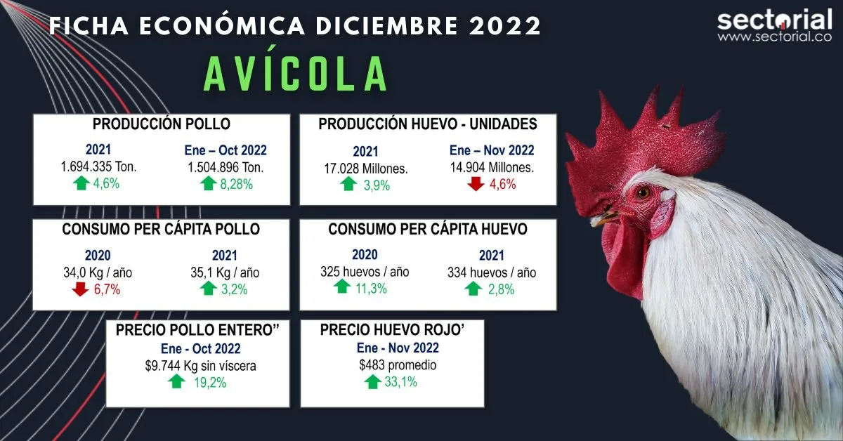 Adquiera el informe completo del