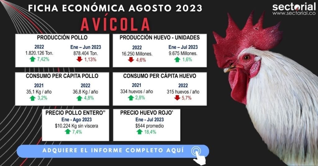 Avícola agosto 2023