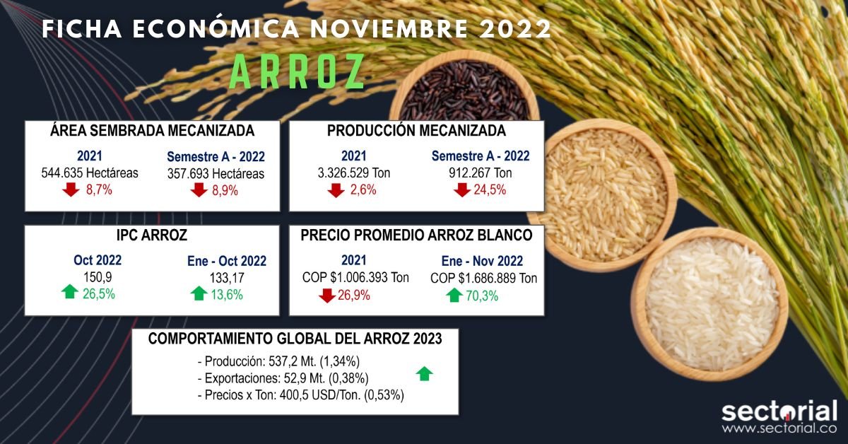 Adquiera el informe completo del