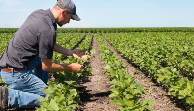 frontera agrícola de Colombia