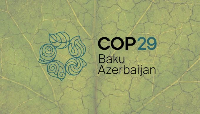 COP 29