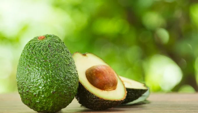 Producción de aguacate