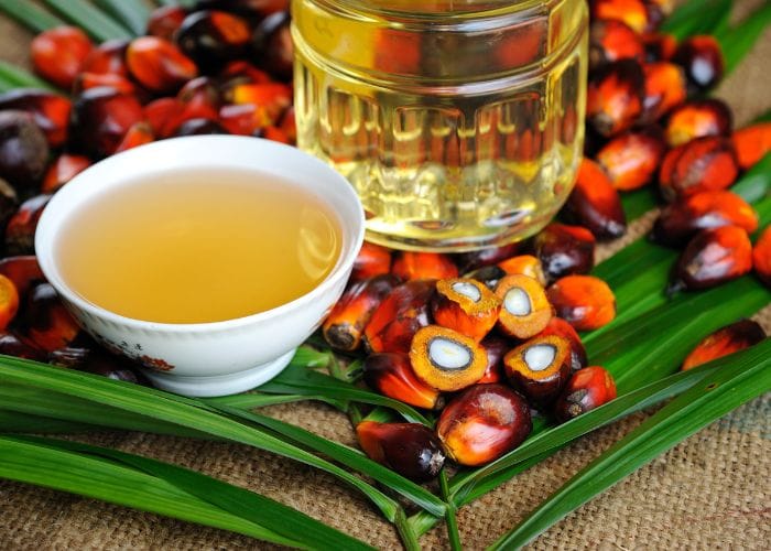 Ajustarse a la normatividad europea es prioridad para el sector palmicultor colombiano