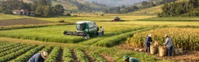 Producción de cultivos en Colombia aumentó 6,5 % en el primer semestre de 2025