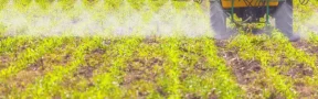 Acciones de Bayer Caen por Herbicida Cancerígeno