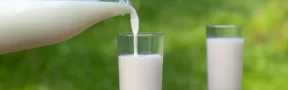 Acopio y Consumo de Leche en Colombia Incrementa