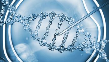 Adn_genetica
