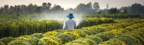 Agricultura