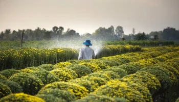 Agricultura