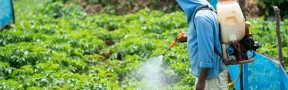 precios de agroquímicos