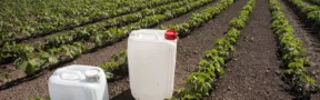 Agroquímicos, el Dolor de los Agricultores