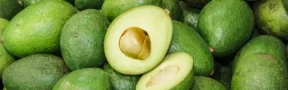 Aguacate (2)