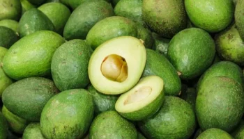 Aguacate (2)
