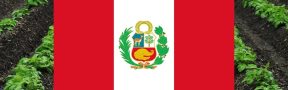 Arancel_Peru