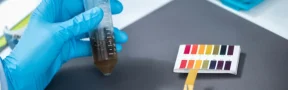 Buscan Solución a Enfermedad Devastadora de Cítricos