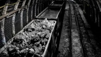 Coal