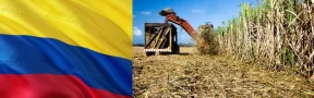 Colombia, Mayor Productor Azucarero en el Mundo