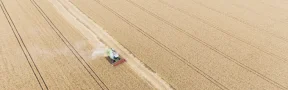 Después de Cuatro Meses se Recupera el Mercado de Agroquímicos en el Huila