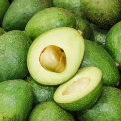 Exportaciones de aguacate colombiano