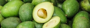 Exportaciones de aguacate colombiano