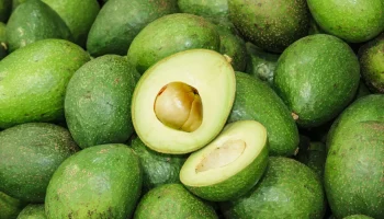 Exportaciones de aguacate colombiano
