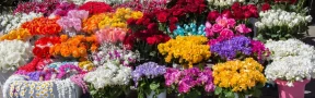 Exportaciones de flores