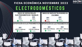 Fecha_electro_nov_2022