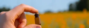 Fertilizantes y Plaguicidas con Arancel a 0