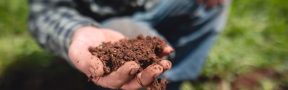 Fertilizantes_Tierra