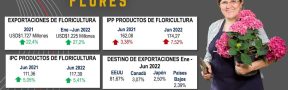 Ficha_Flores_New_2022