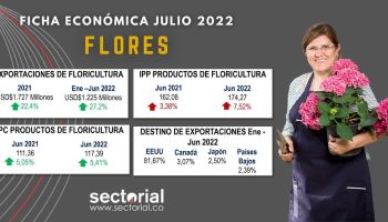 Ficha_Flores_New_2022