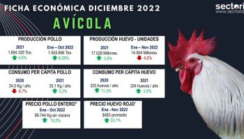 Ficha_avicola_diciembre_2022