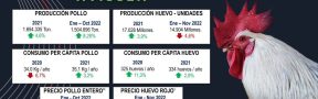 Ficha_avicola_diciembre_2022