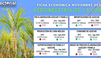 Ficha_azucar_2022_II