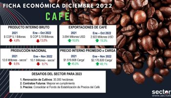 Ficha_caf_dic_2022