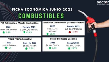 Ficha_combustible_jun_2023