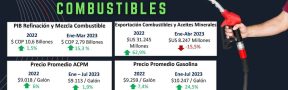 Ficha_combustible_jun_2023
