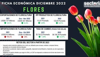 Ficha_flores_Dic_2022