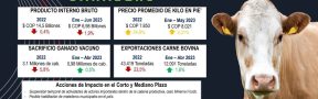 Ficha_ganadero_2023