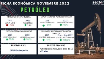 Ficha_petrolera_2022