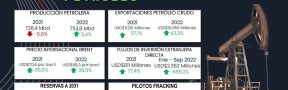 Ficha_petrolera_2022