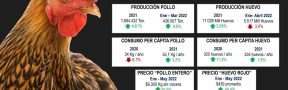 Ficha Económica Avícola Mayo 2022: Consumo de Huevo Seguirá Cayendo por Déficit de Oferta