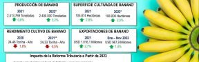 Fichas_Económicas_Banano_Dic_2022