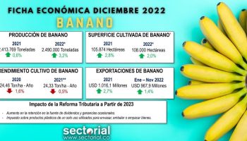 Fichas_Económicas_Banano_Dic_2022