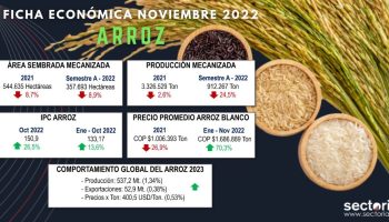 Fichas_arroz_nov_2022