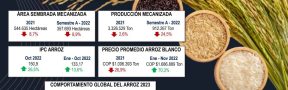 Fichas_arroz_nov_2022
