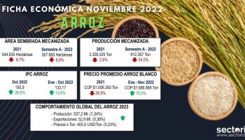 Fichas_arroz_nov_2022