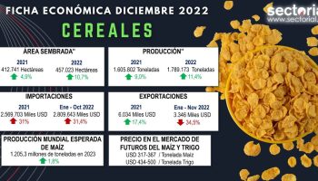 Fichas_cereal_dic_2022
